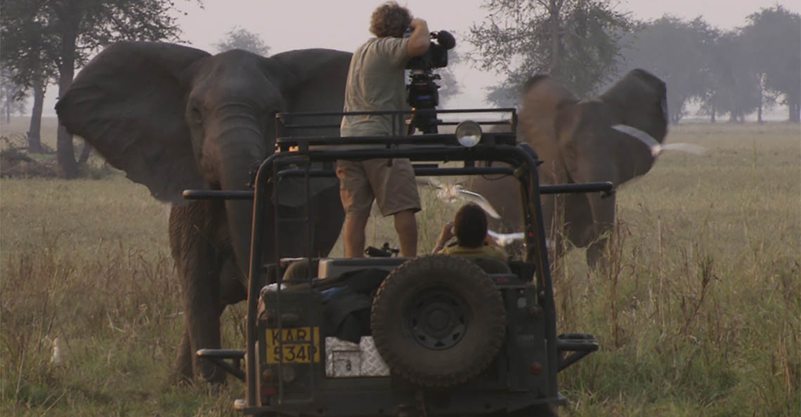 Photographic Safari