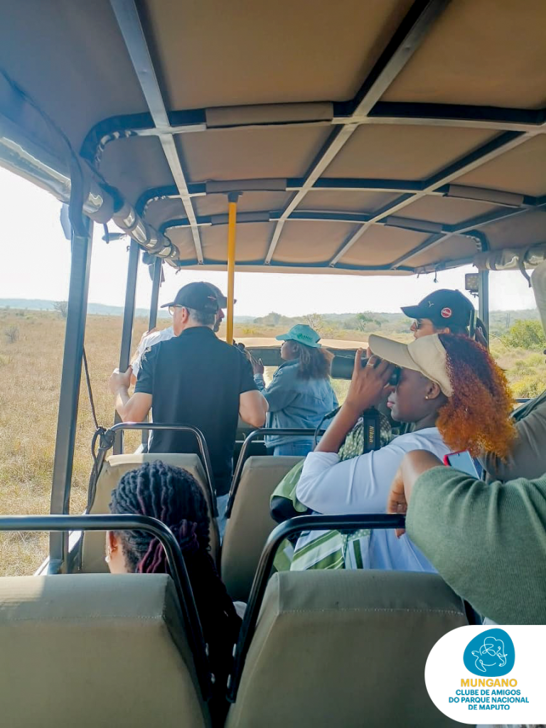 Guided Safari