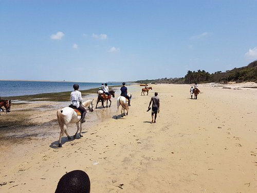 Horseback riding
