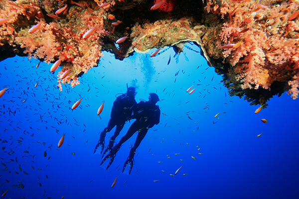 Wakeboarding, and skuba diving