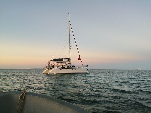 Boat trips