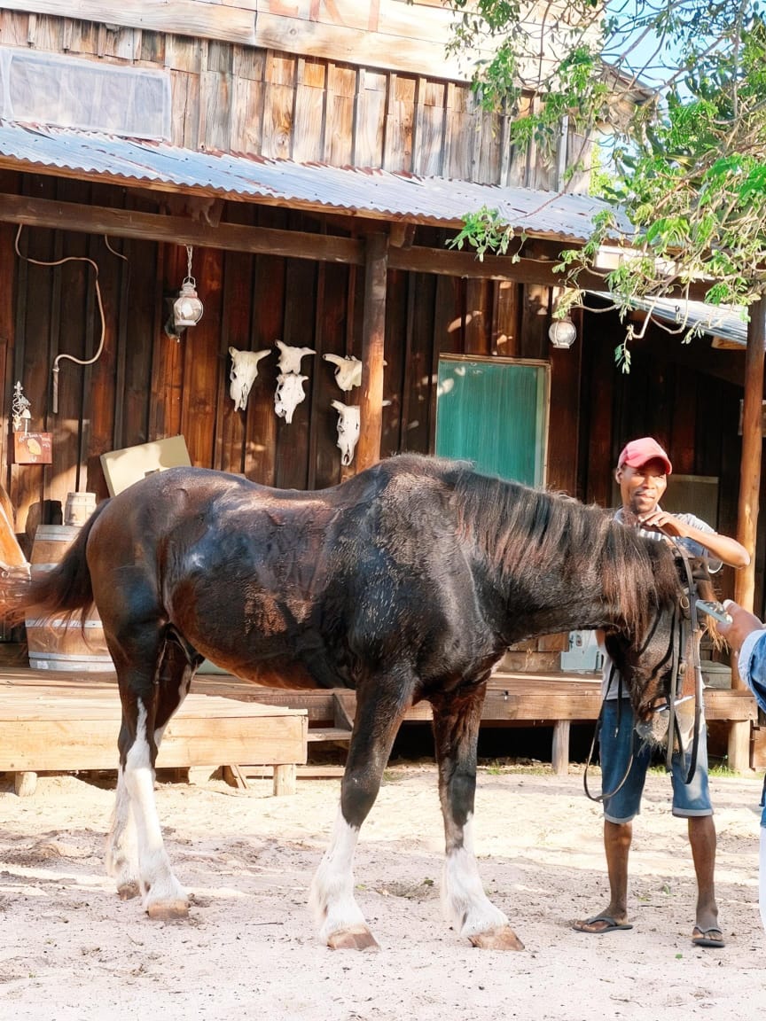 Horse riding